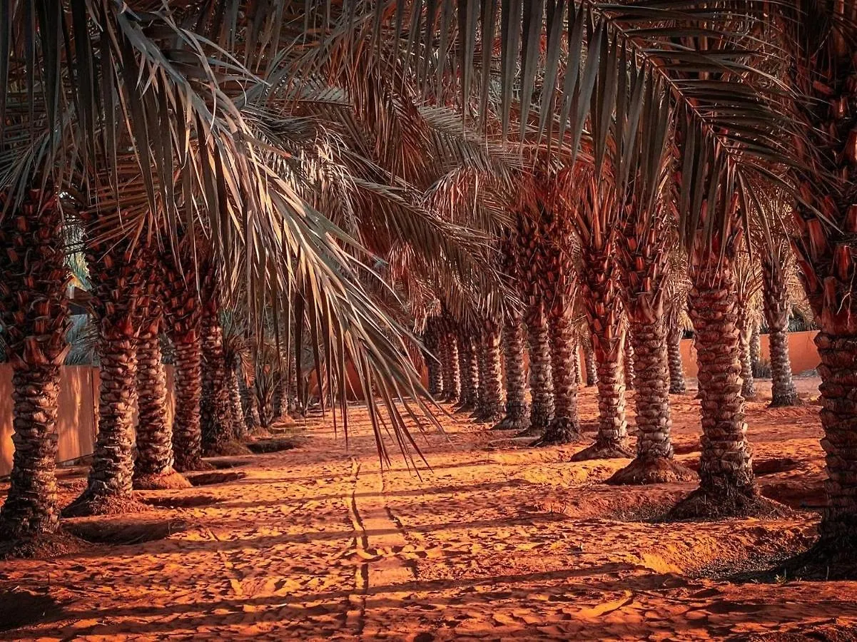Palm Escape Farmhouse - By Seven Elements Ras al-Khaimah United Arab Emirates